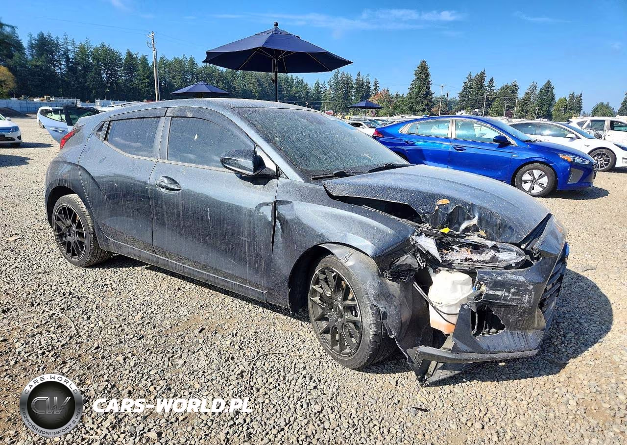 2019 Hyundai Veloster 2.0L VIN:KMHTG6AF9KU014422 - 4