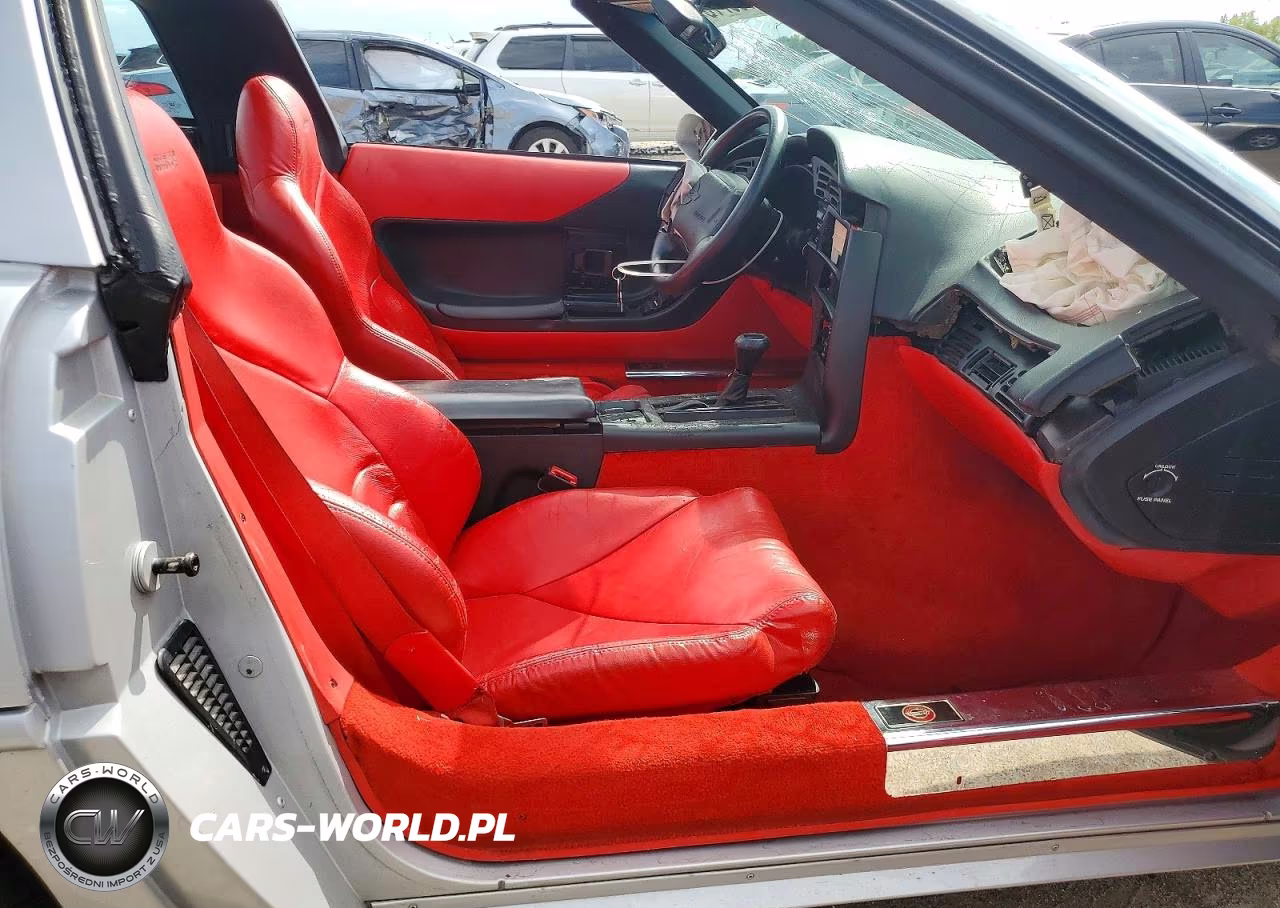 1996 Chevrolet Corvette VIN:1G1YY22P6T5102663 - 10