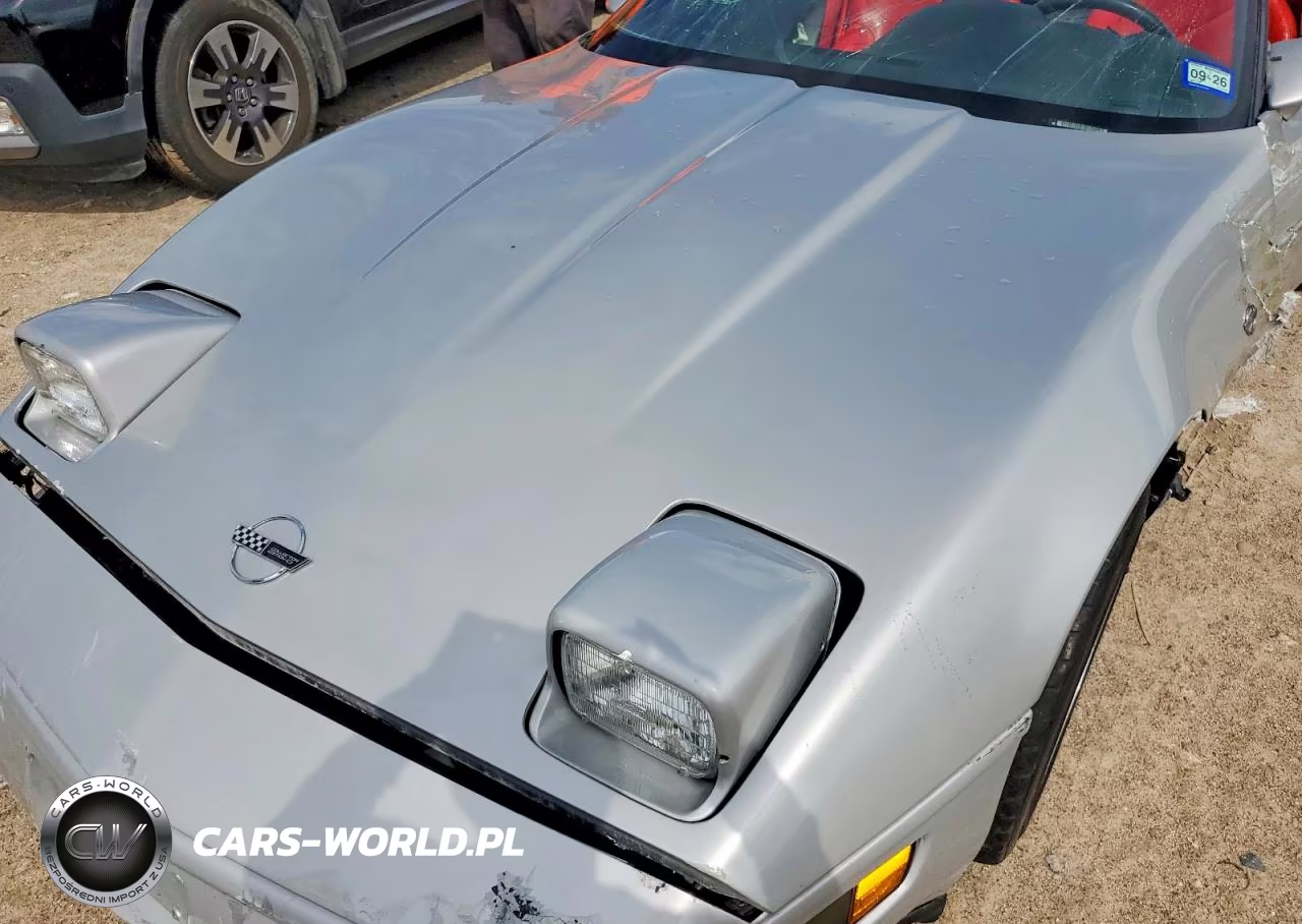 1996 Chevrolet Corvette VIN:1G1YY22P6T5102663 - 11