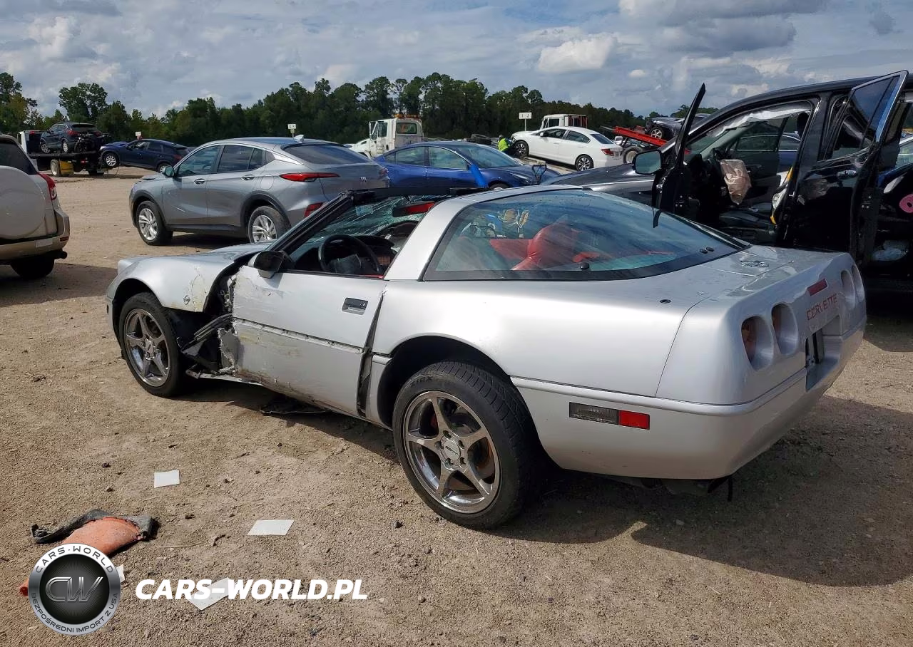 1996 Chevrolet Corvette VIN:1G1YY22P6T5102663 - 2