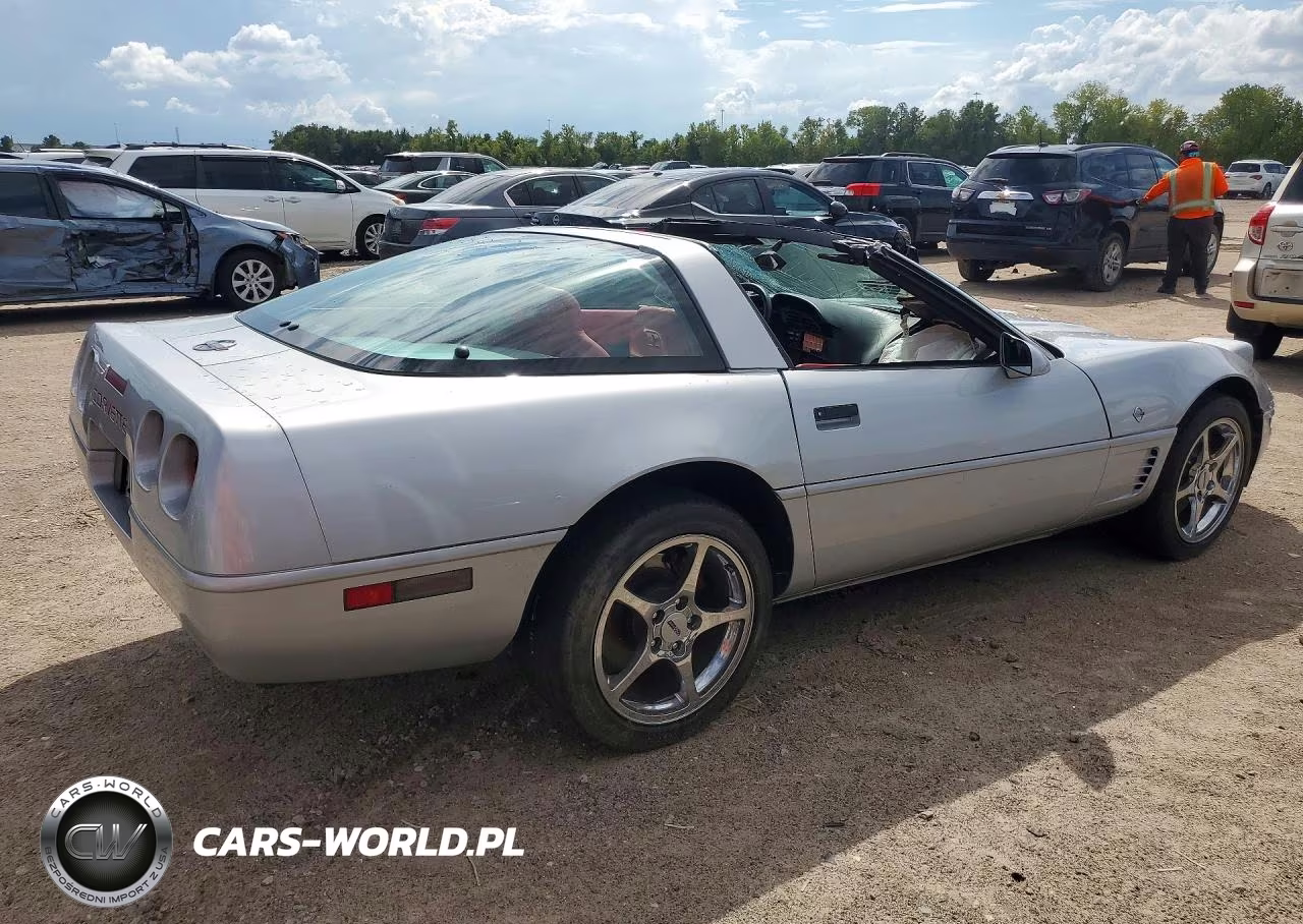 1996 Chevrolet Corvette VIN:1G1YY22P6T5102663 - 3