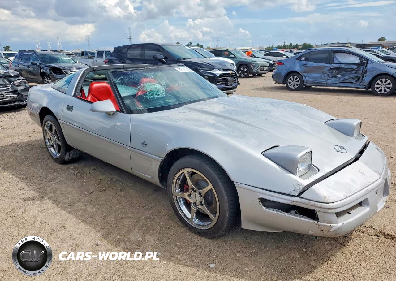 1996 Chevrolet Corvette VIN:1G1YY22P6T5102663 - 4