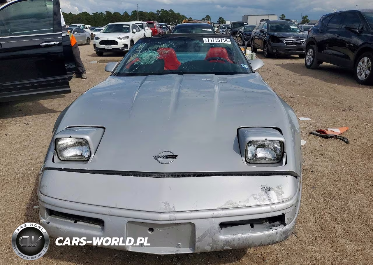 1996 Chevrolet Corvette VIN:1G1YY22P6T5102663 - 5