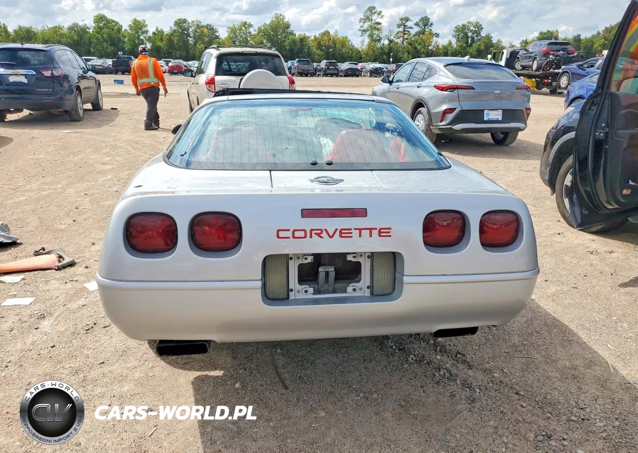 1996 Chevrolet Corvette VIN:1G1YY22P6T5102663 - 6