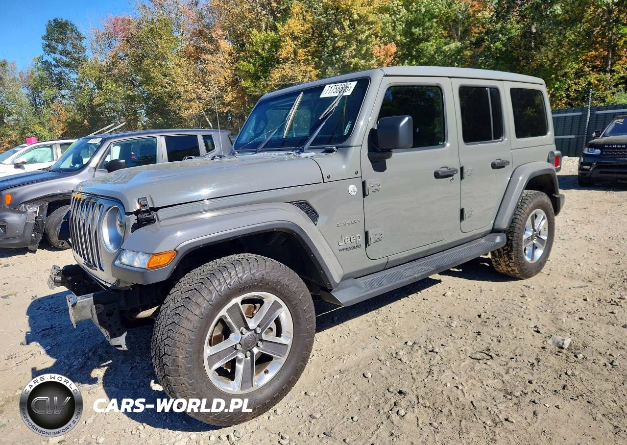 2020 Jeep Wrangler Unlimited Sahara VIN:1C4HJXENXLW291654 - 1