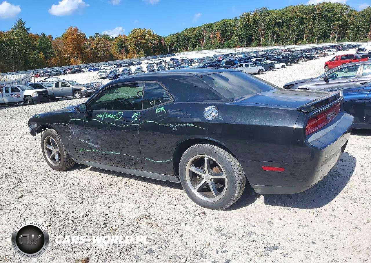 2010 Dodge Challenger Se VIN:2B3CJ4DV3AH102771 - 2