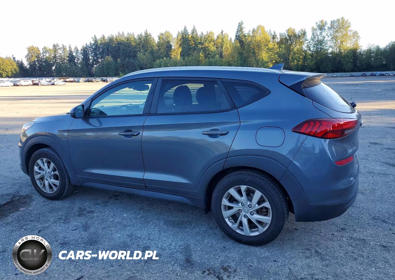 2019 Hyundai Tucson Value VIN:KM8J3CA46KU011672 - 2