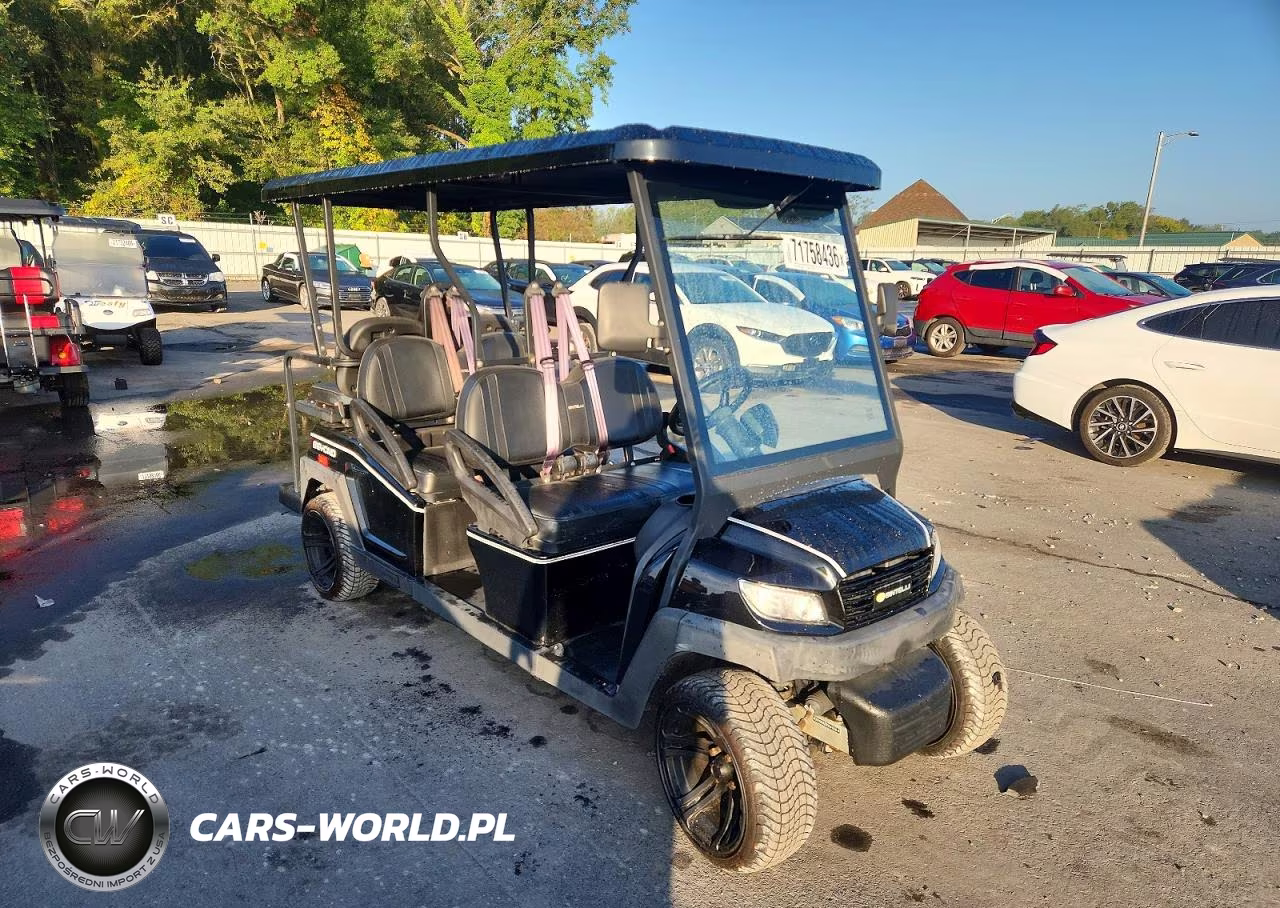 2021 Bintelli Golf Cart