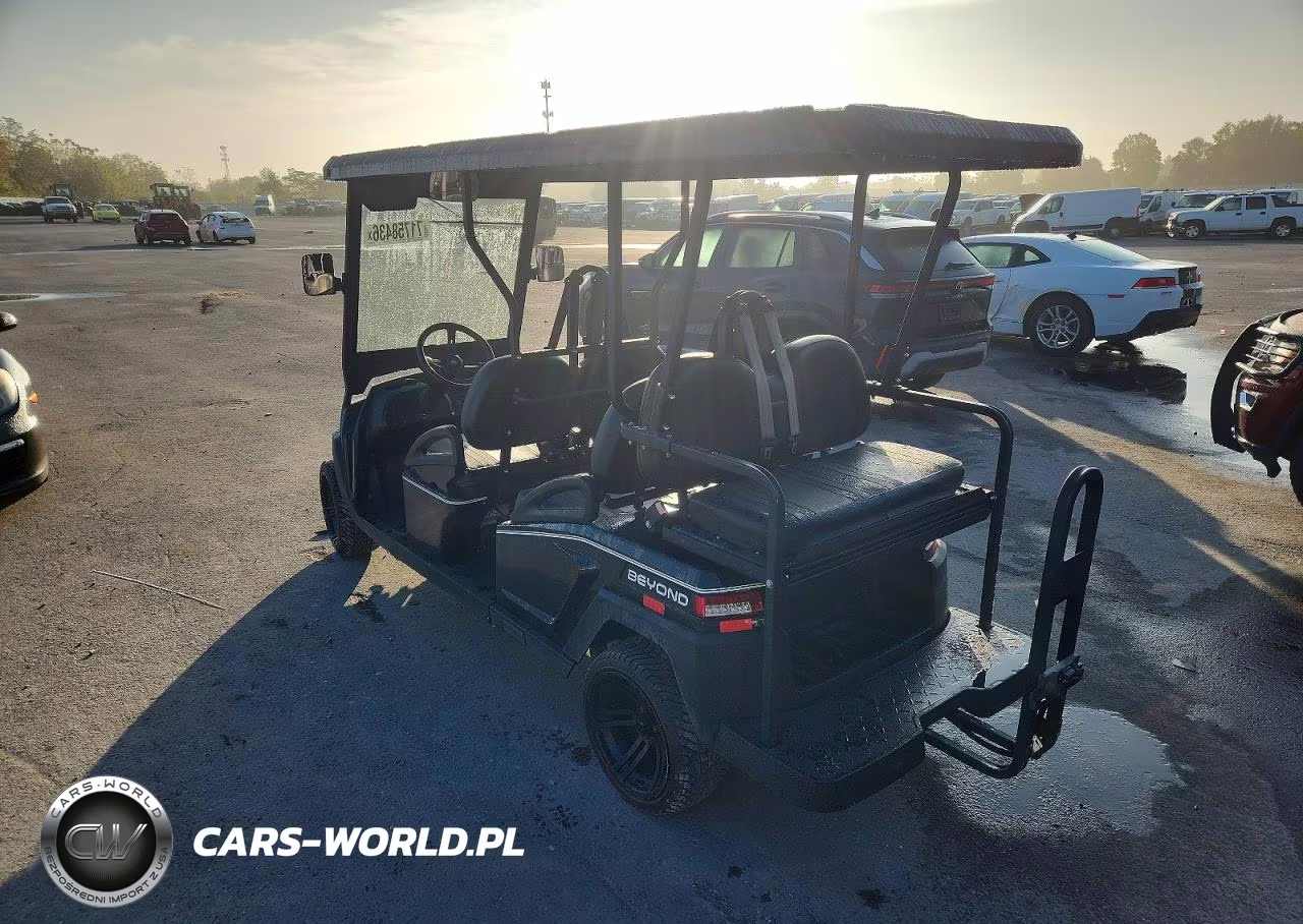 2021 Bintelli Golf Cart VIN:1G9BA2118MC411990 - 3
