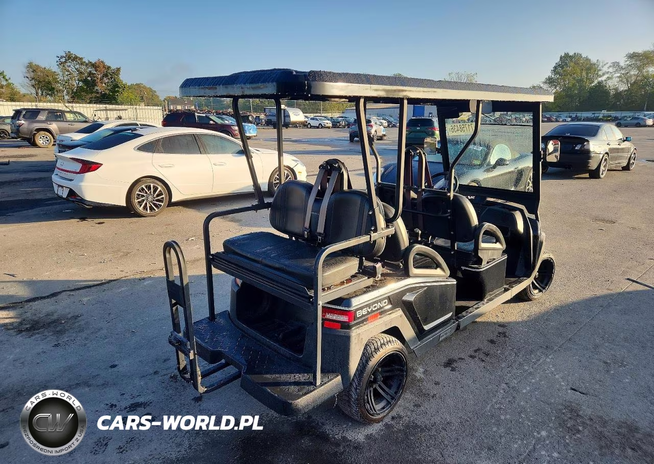 2021 Bintelli Golf Cart VIN:1G9BA2118MC411990 - 4