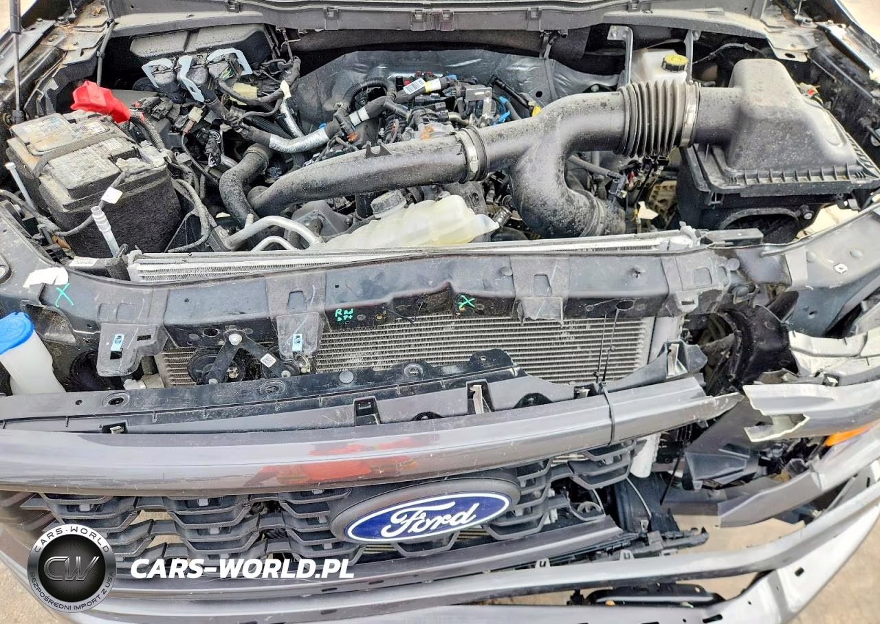2025 Ford F150 Stx VIN:1FTEW2KP8SKD22869 - 11