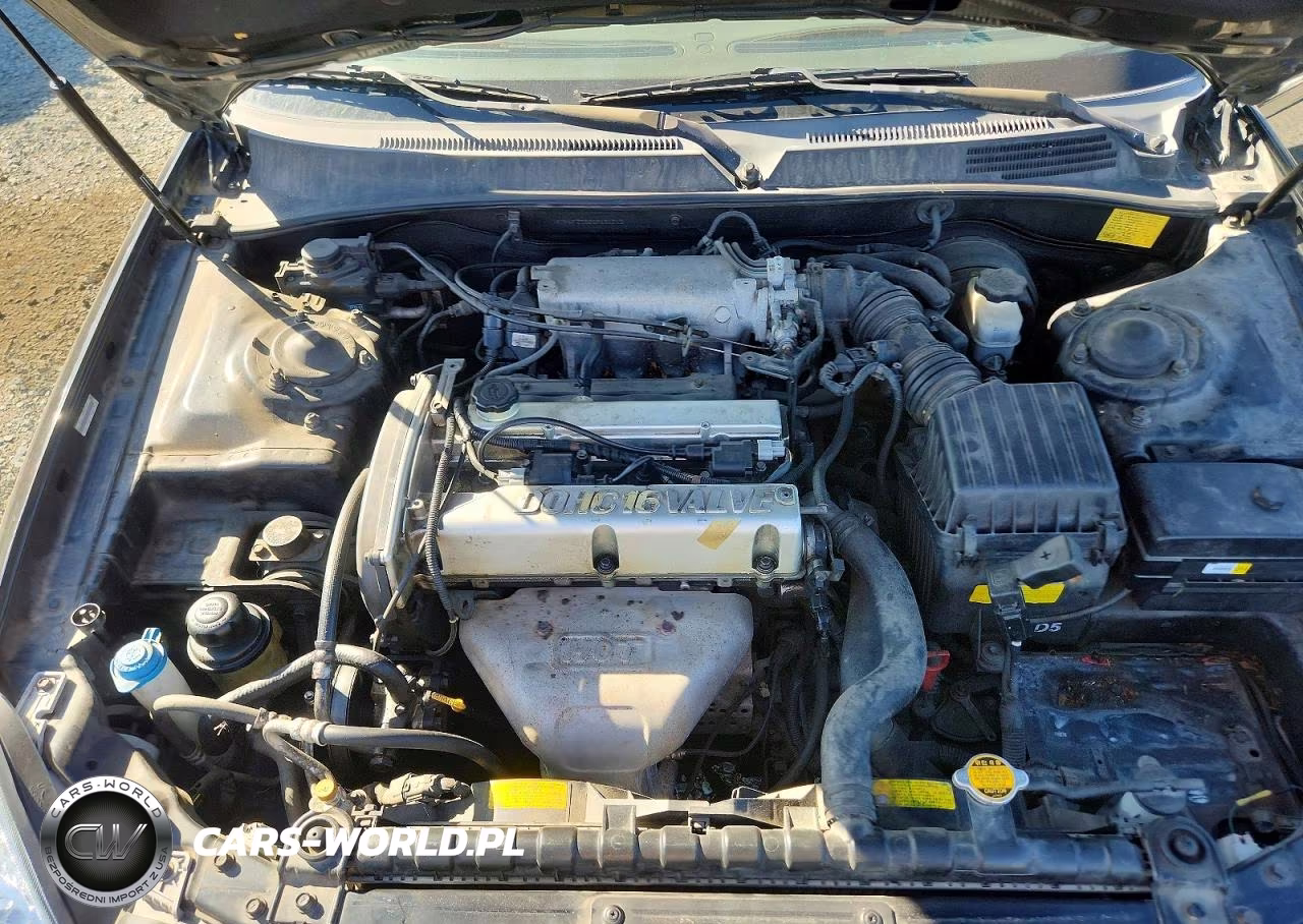 2005 Hyundai Sonata Gl VIN:KMHWF25S05A191219 - 11