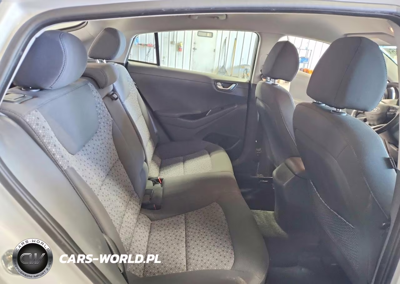 2019 Hyundai Ioniq Electric Base VIN:KMHC75LH2KU038439 - 11