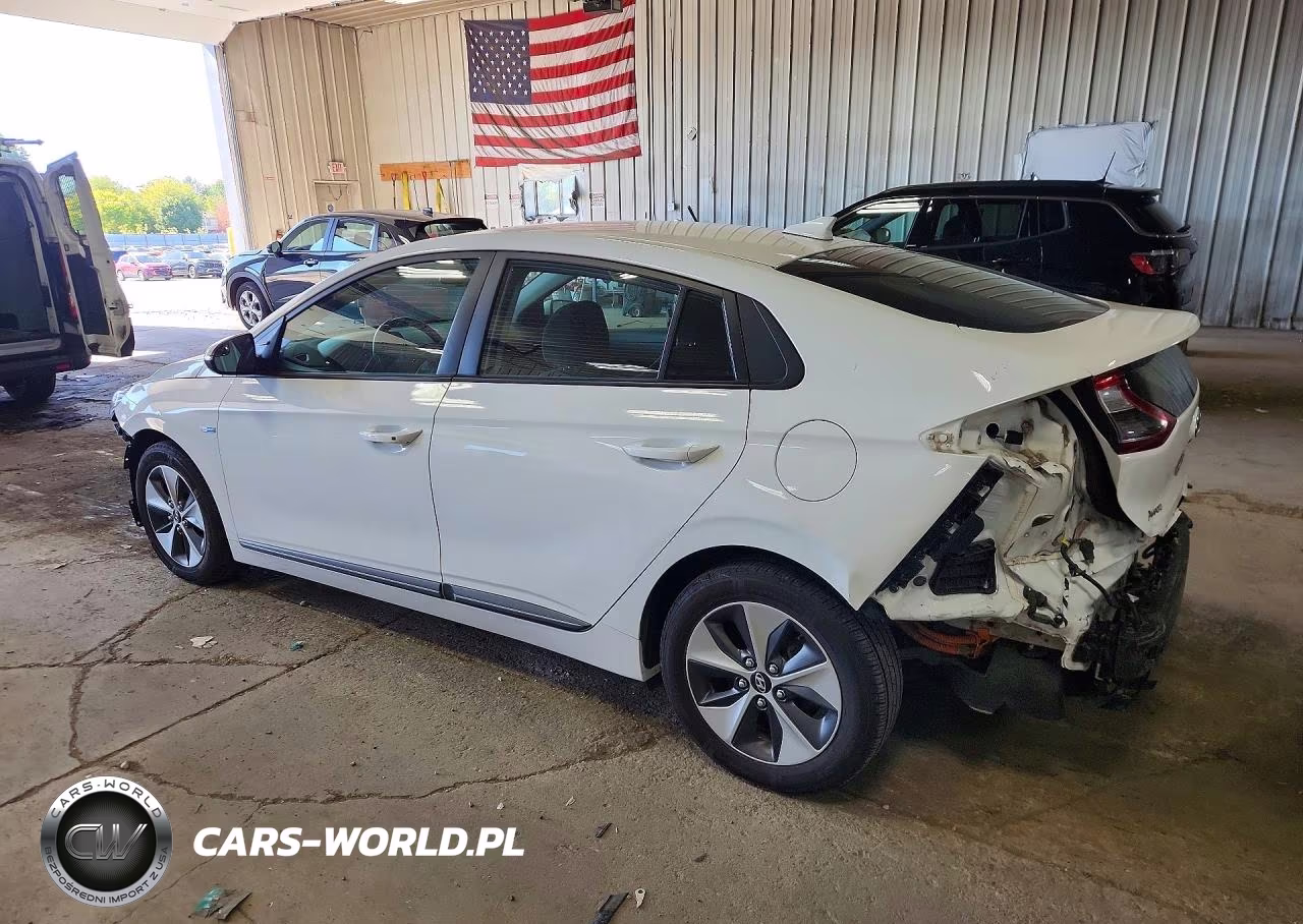 2019 Hyundai Ioniq Electric Base VIN:KMHC75LH2KU038439 - 2