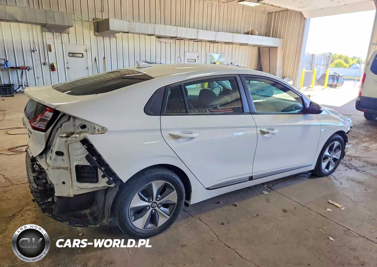 2019 Hyundai Ioniq Electric Base VIN:KMHC75LH2KU038439 - 3