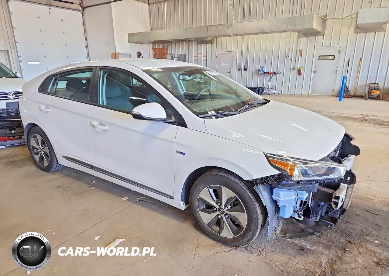 2019 Hyundai Ioniq Electric Base VIN:KMHC75LH2KU038439 - 4