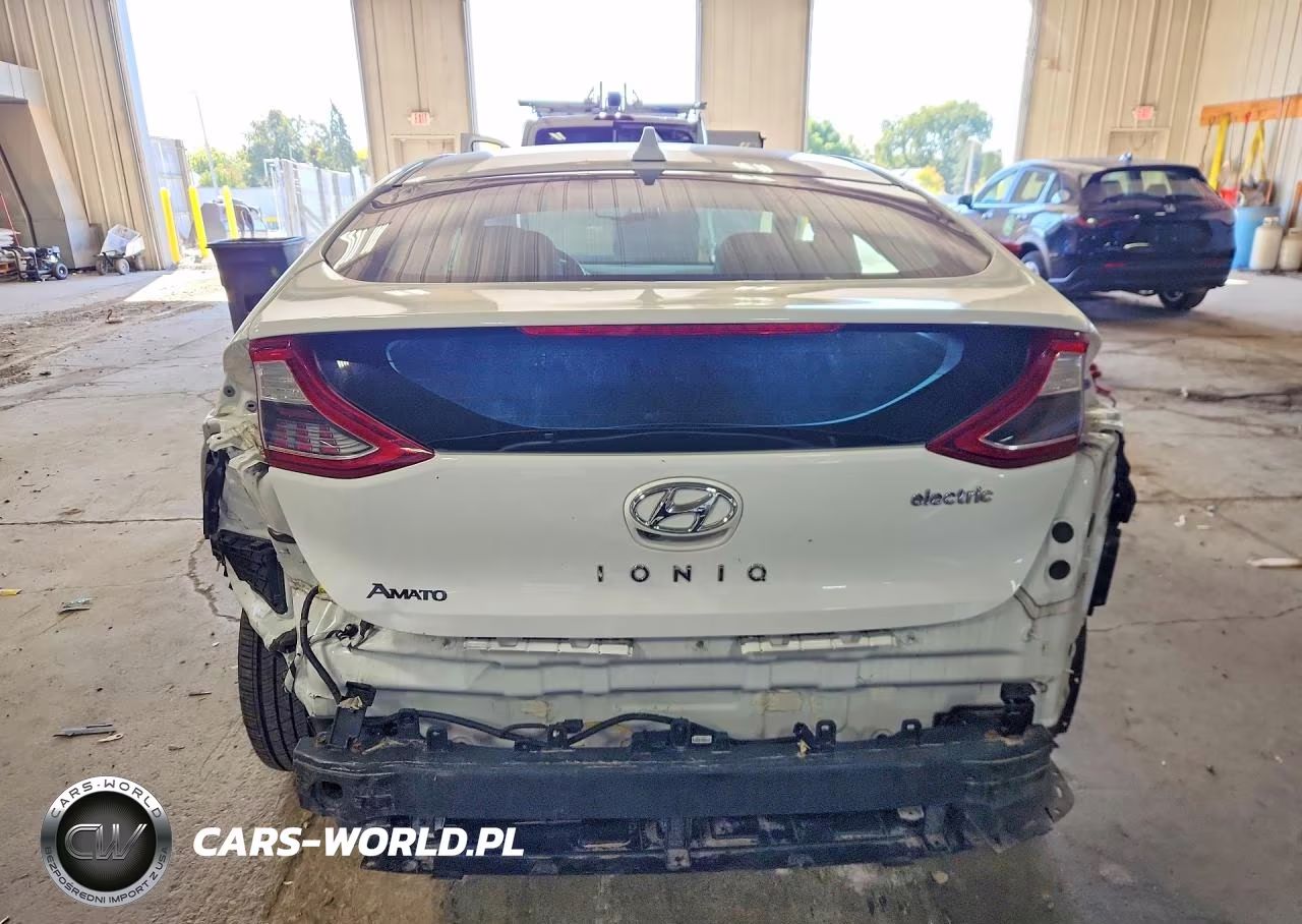 2019 Hyundai Ioniq Electric Base VIN:KMHC75LH2KU038439 - 6