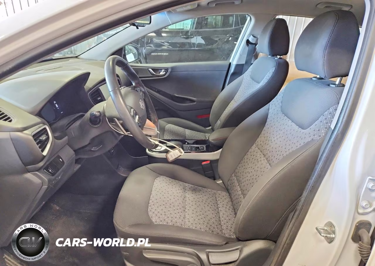 2019 Hyundai Ioniq Electric Base VIN:KMHC75LH2KU038439 - 7