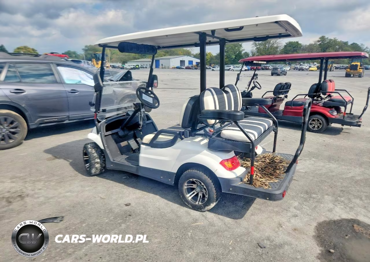 2023 Elite Golf Cart VIN:7TLDDAC17C1070174 - 3