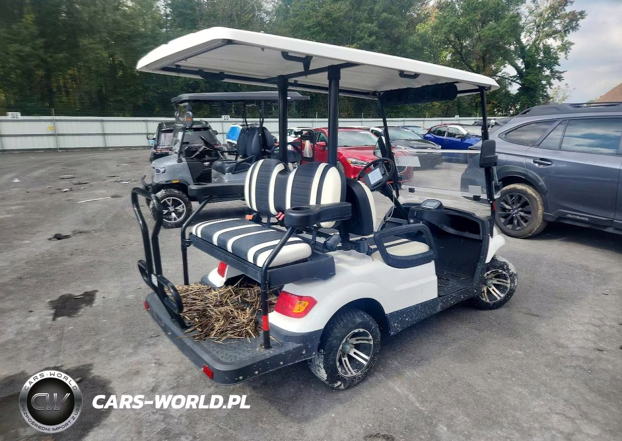 2023 Elite Golf Cart VIN:7TLDDAC17C1070174 - 4