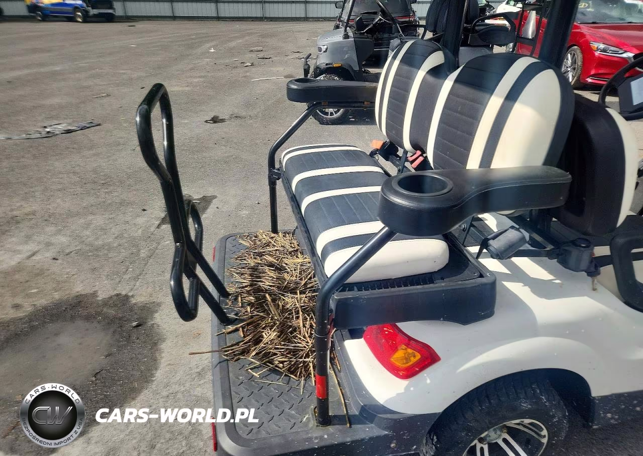 2023 Elite Golf Cart VIN:7TLDDAC17C1070174 - 6