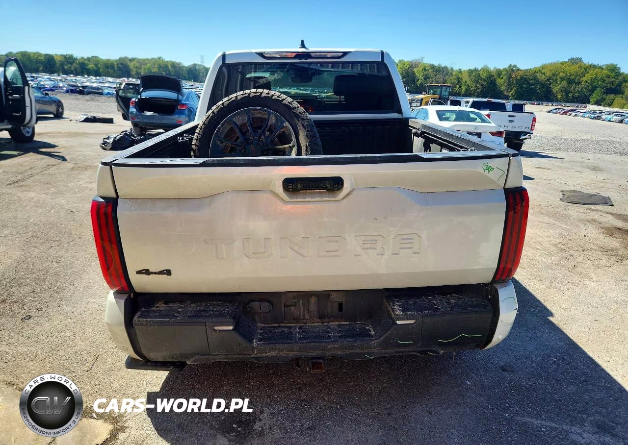 2024 Toyota Tundra Limited VIN:5TFWA5DB0RX134043 - 6