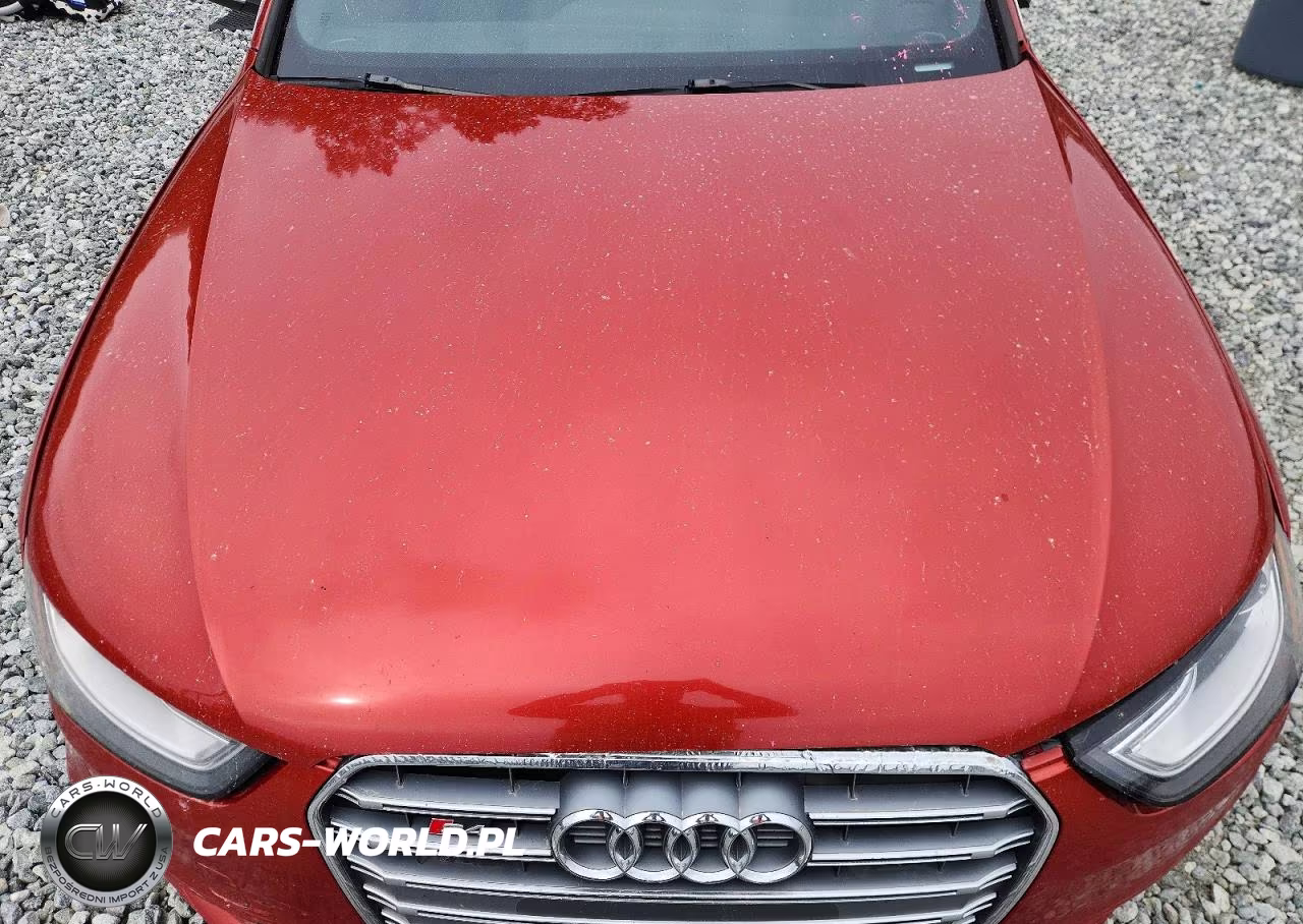 2013 Audi S4 Premium Plus VIN:WAUDGAFL6DA125165 - 11