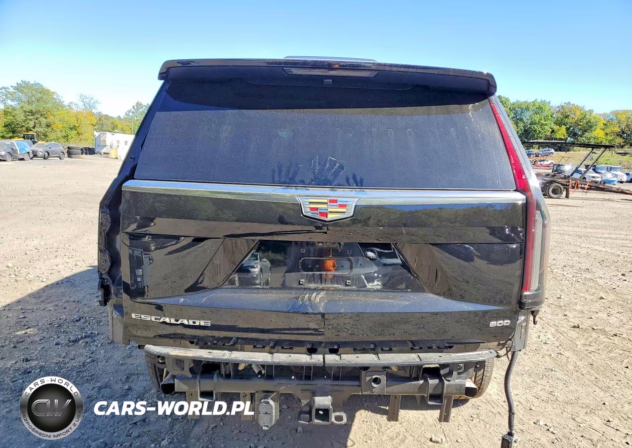 2024 Cadillac Escalade Esv Premium Luxury VIN:1GYS4KKL1RR129044 - 6