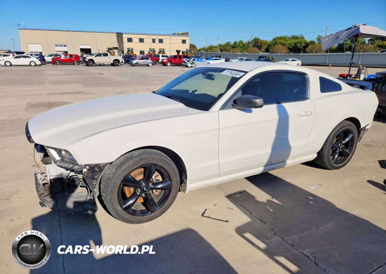 2013 Ford Mustang VIN:1ZVBP8AM7D5268389 - 1