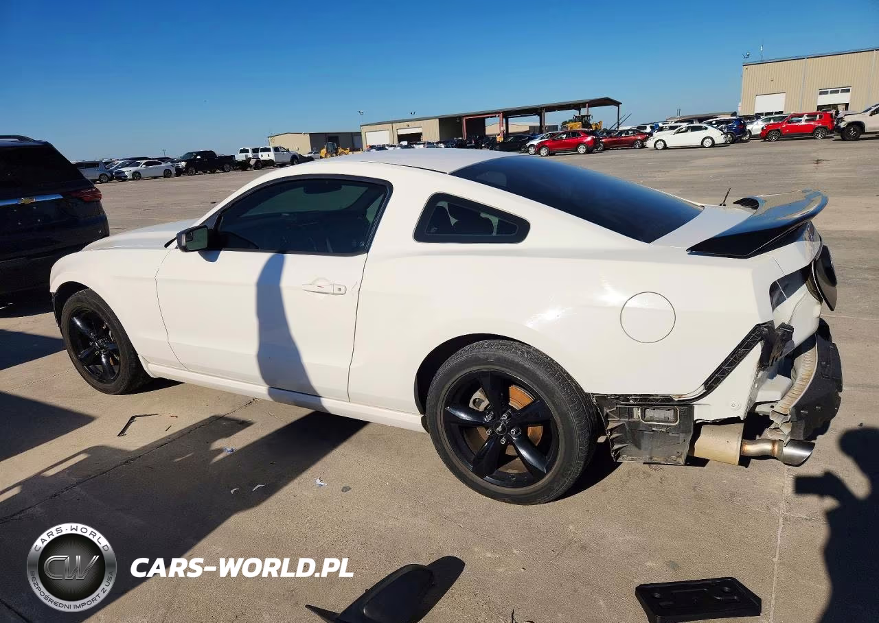 2013 Ford Mustang VIN:1ZVBP8AM7D5268389 - 2