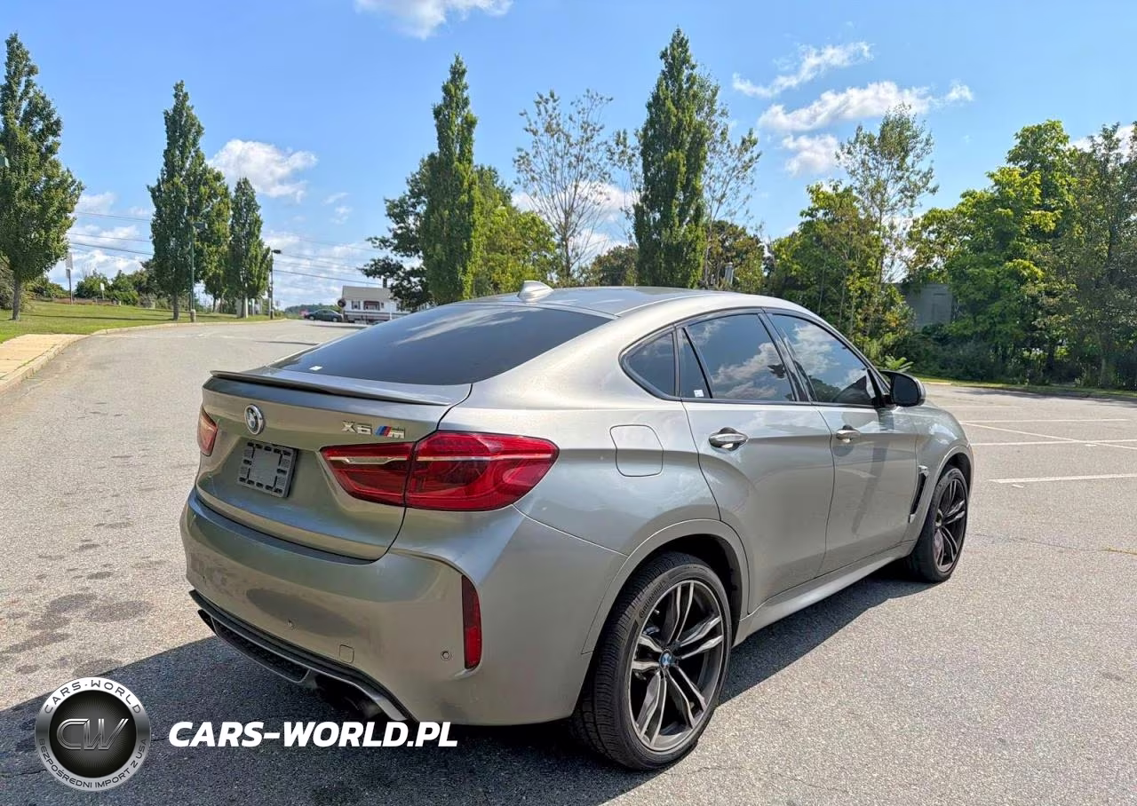 2016 BMW X6 M VIN:5YMKW8C59G0R43289 - 3