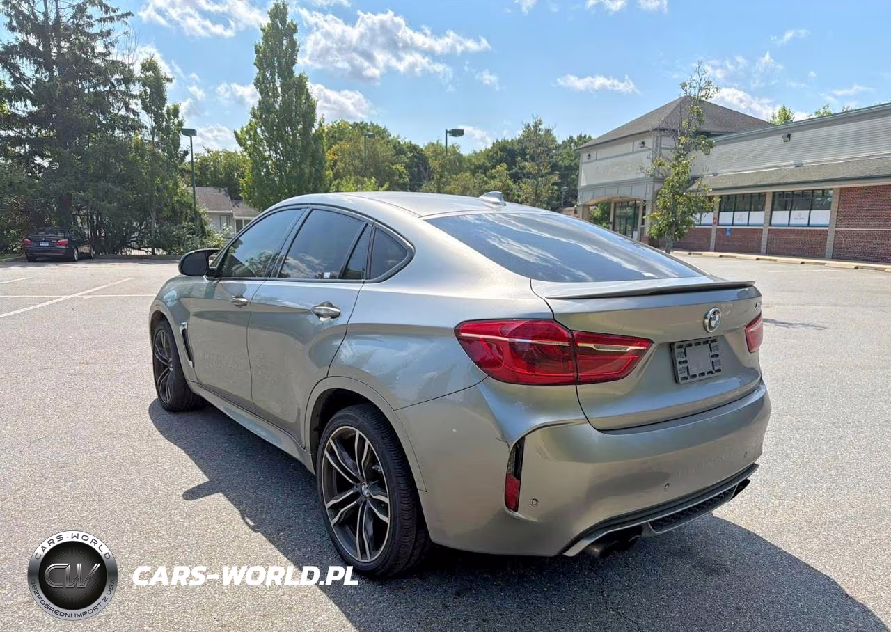 2016 BMW X6 M VIN:5YMKW8C59G0R43289 - 4