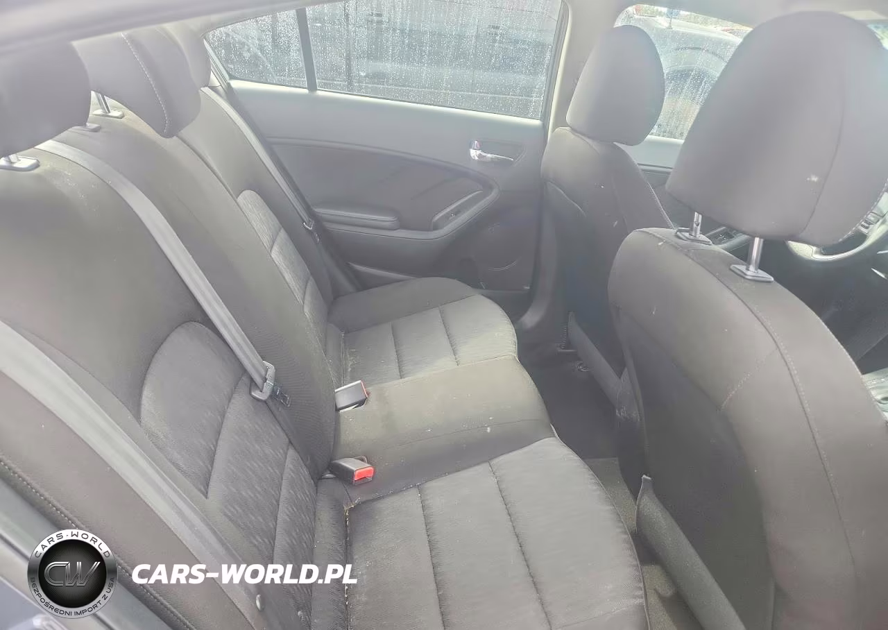 2016 Kia Forte Lx VIN:KNAFK4A67G5584776 - 10