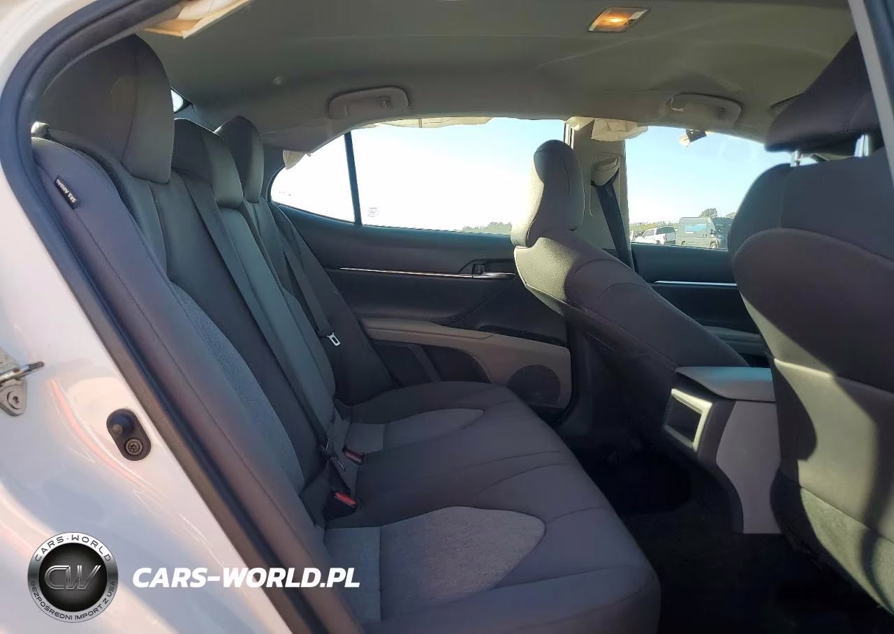 2020 Toyota Camry Le VIN:4T1C11AK4LU966764 - 10