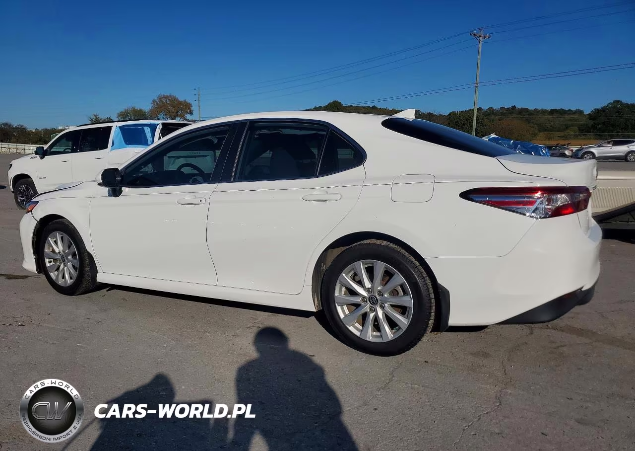 2020 Toyota Camry Le VIN:4T1C11AK4LU966764 - 2