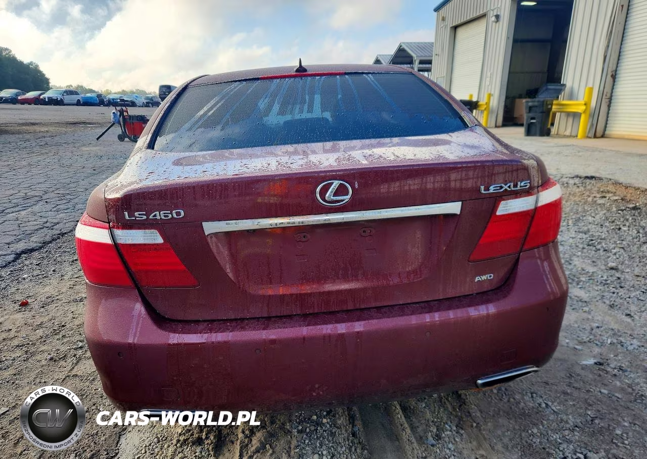 2009 Lexus Ls 460 VIN:JTHCL46FX95003462 - 6
