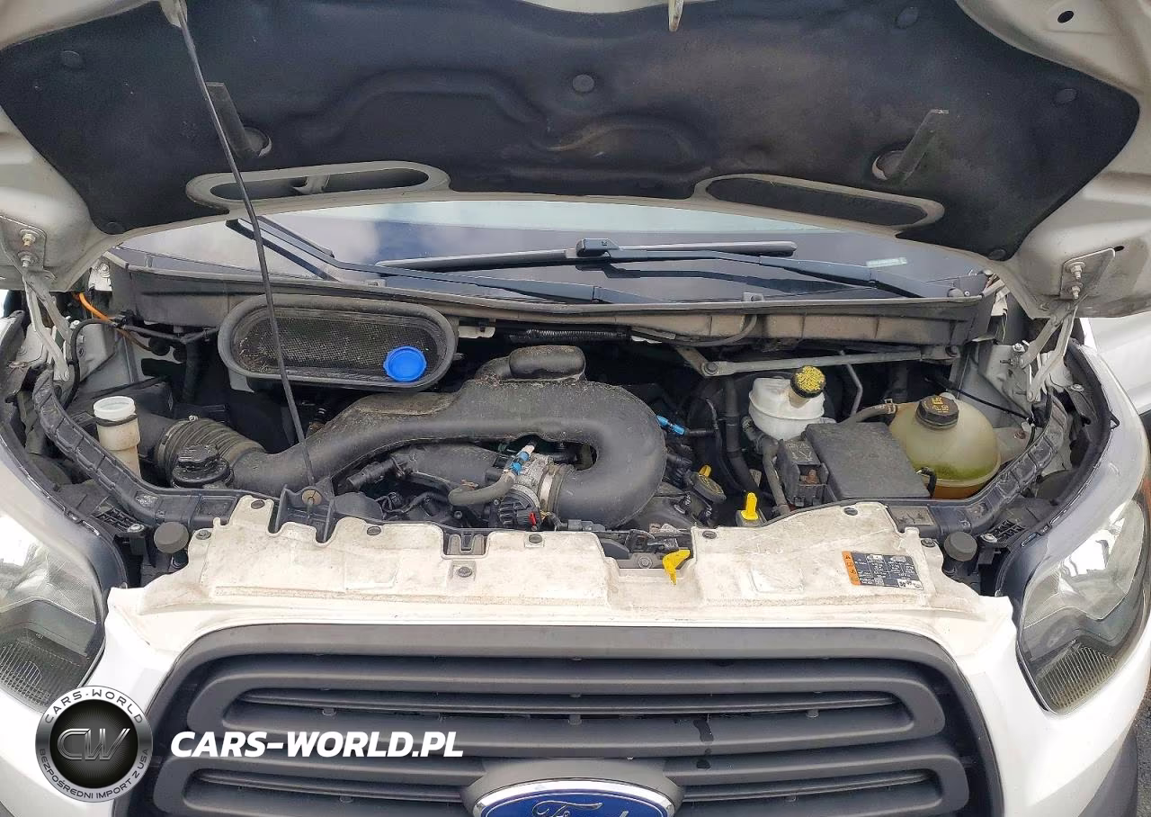 2019 Ford Transit 350 Delivery Van VIN:1FTBW3XM5KKA20026 - 12