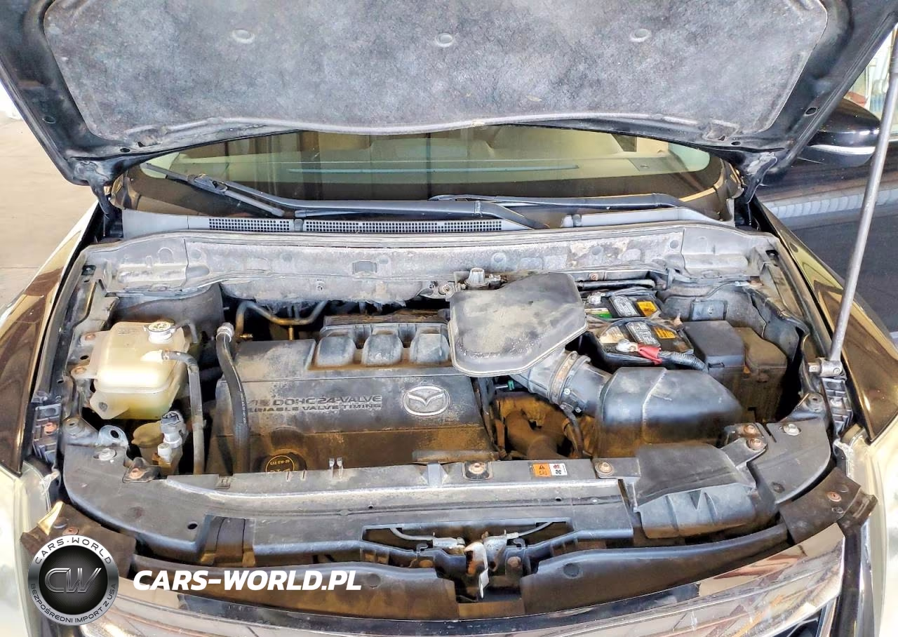 2010 Mazda Cx-9 VIN:JM3TB3MA1A0219487 - 12