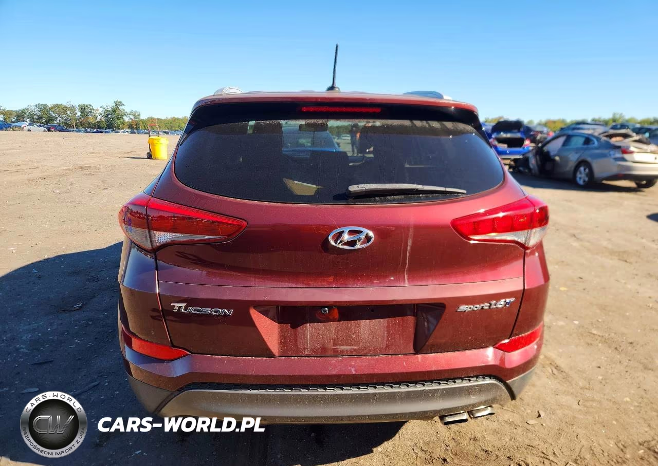 2016 Hyundai Tucson Sport VIN:KM8J33A2XGU062050 - 6