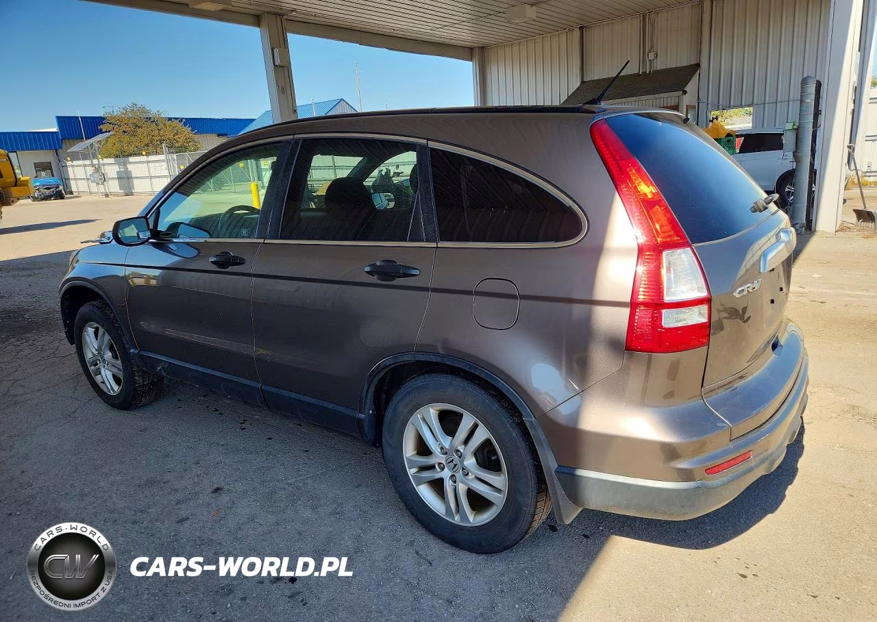 2010 Honda Cr-V Ex VIN:5J6RE4H55AL036423 - 2