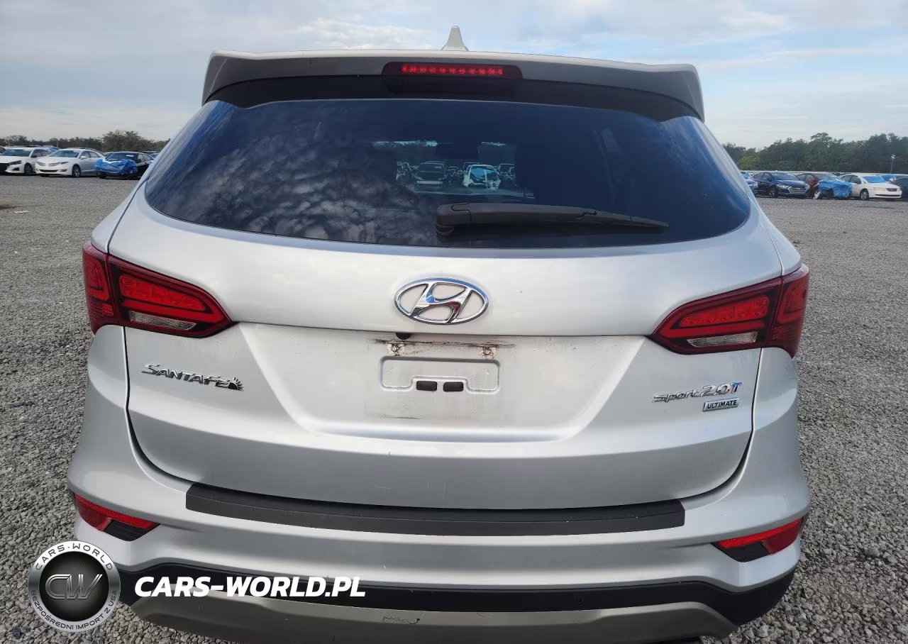 2017 Hyundai Santa Fe Sport 2.0T Ultimate VIN:5XYZW4LA4HG482074 - 6