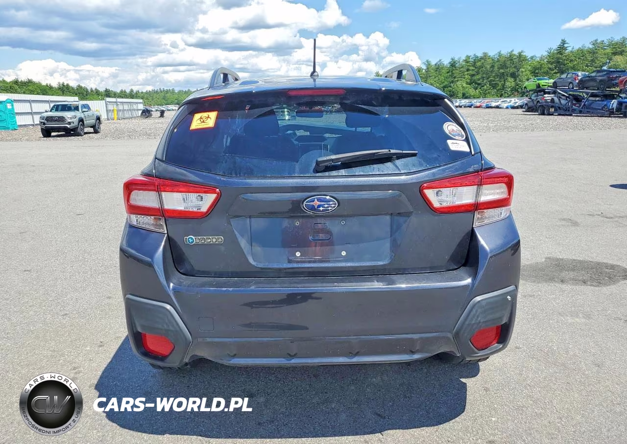 2019 Subaru Crosstrek VIN:JF2GTAAC2K9297826 - 6
