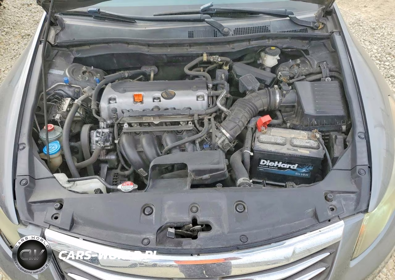 2011 Honda Accord Lxp VIN:1HGCP2F49BA020485 - 11