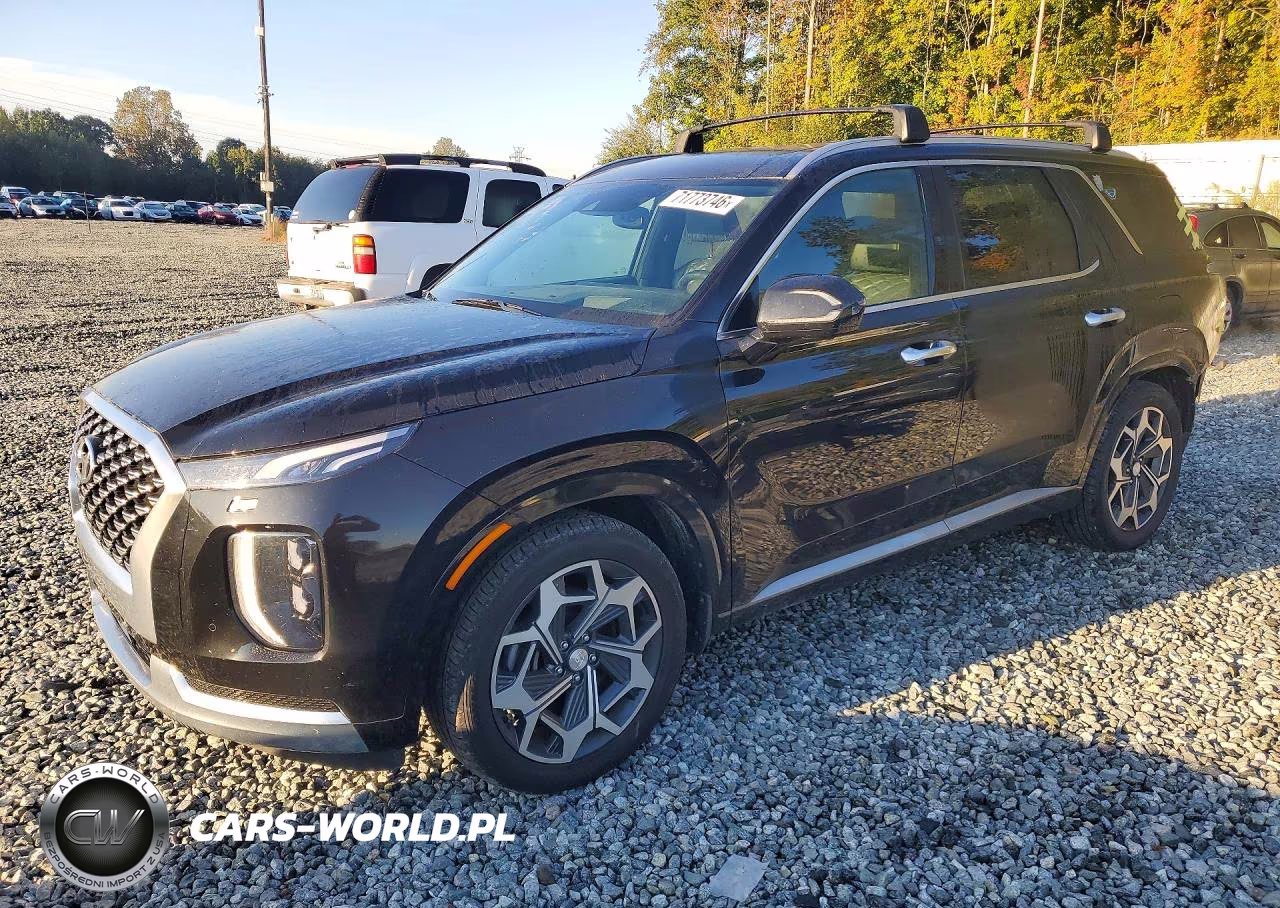 2022 Hyundai Palisade Calligraphy VIN:KM8R7DHE1NU339419 - 1