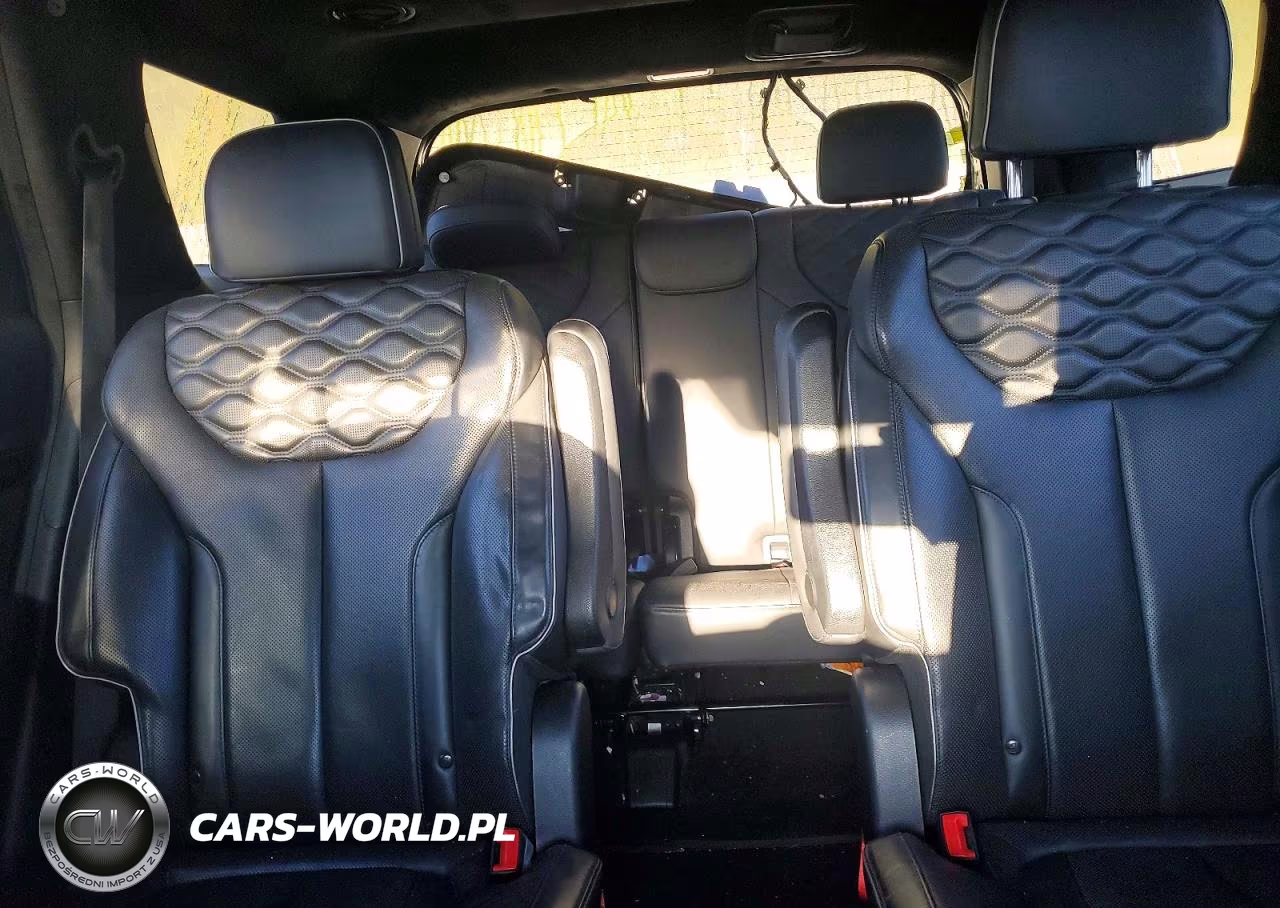 2022 Hyundai Palisade Calligraphy VIN:KM8R7DHE1NU339419 - 10
