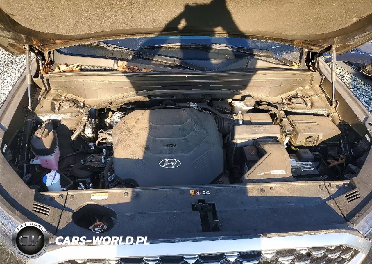 2022 Hyundai Palisade Calligraphy VIN:KM8R7DHE1NU339419 - 12