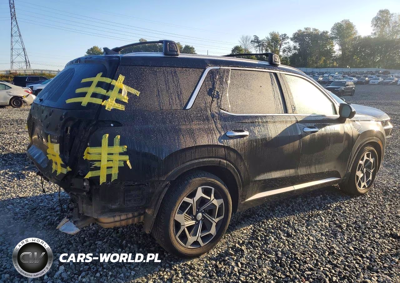 2022 Hyundai Palisade Calligraphy VIN:KM8R7DHE1NU339419 - 3