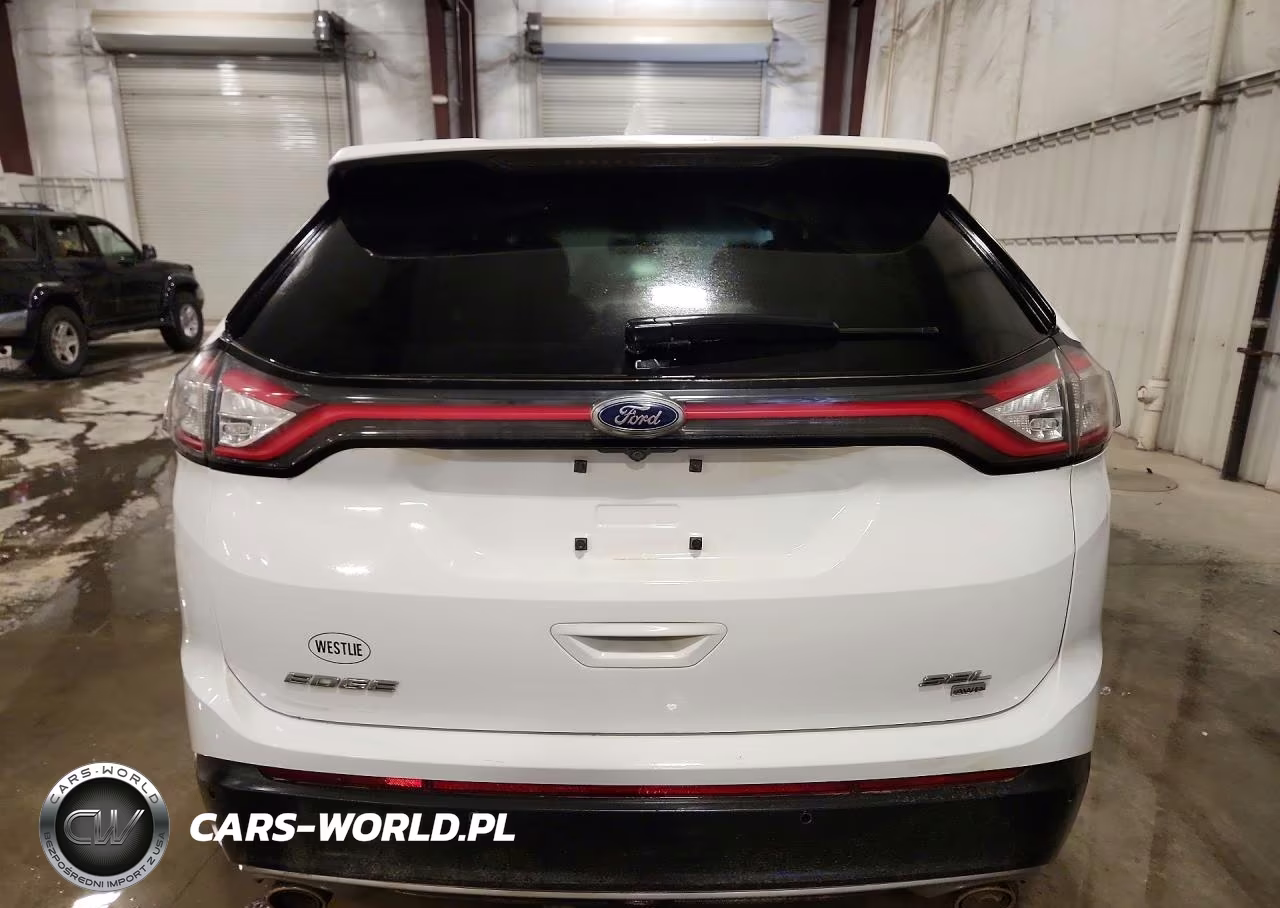 2016 Ford Edge Sel VIN:2FMPK4J89GBC37448 - 6