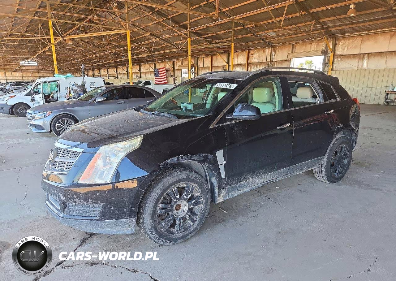 2010 Cadillac Srx Luxury Collection VIN:3GYFNAEY4AS516317 - 1