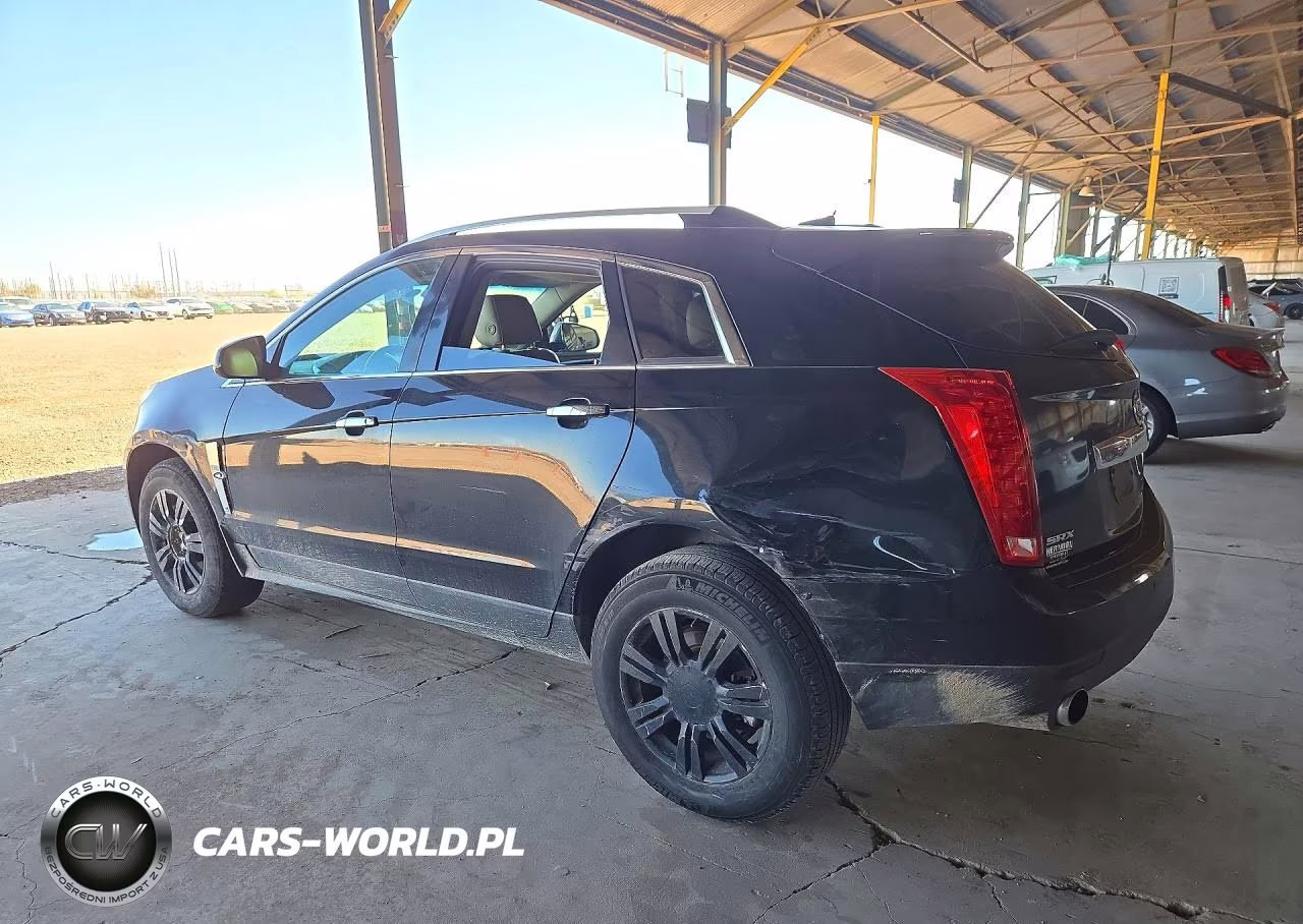 2010 Cadillac Srx Luxury Collection VIN:3GYFNAEY4AS516317 - 2